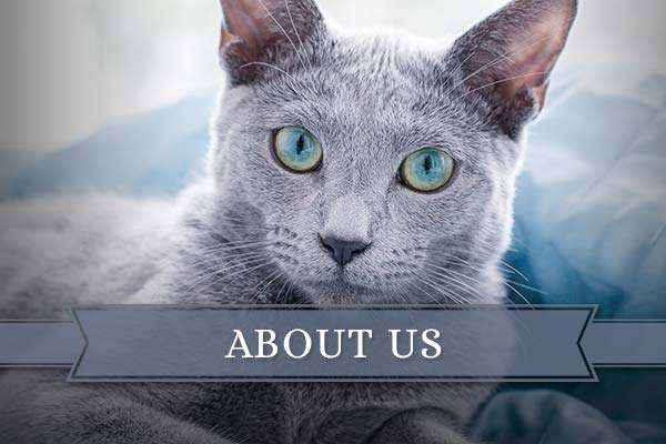 About Us About Us